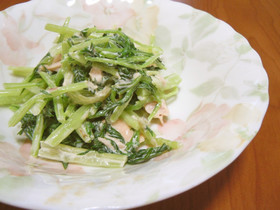 モリモリ食べられる！水菜のツナマヨサラダ