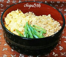 15分お弁当に子供が喜ぶ！三色鳥そぼろ丼