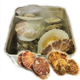 牡蠣（カキ）とホタテの「ガンガン焼き」