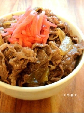 ☆牛丼☆