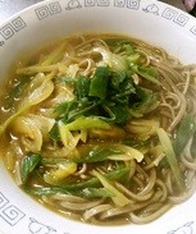 華麗とは言えませんが…ネギねぎカレーそば