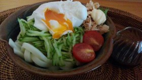とろーりたまごとツナのサラダうどん