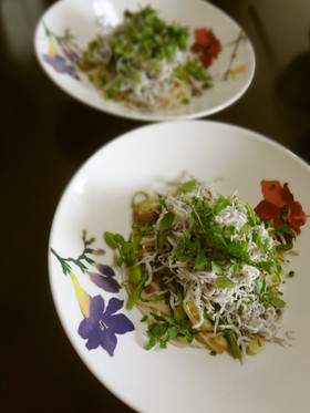 しらすと香味野菜たっぷりのっけサラダ素麺