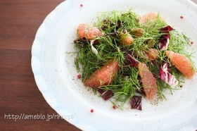 フェンネルとトレビスのグレフルサラダ