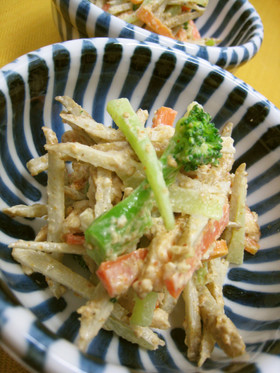 シャキシャキ牛蒡と鶏肉のサラダ