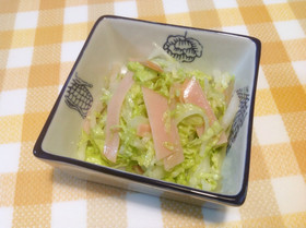 大根と白菜の簡単サラダ♪