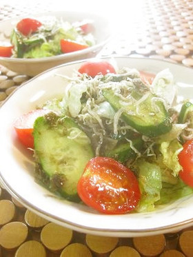 オッサンの雑魚とろろ昆布サラダ