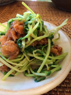 豆苗と梅のおひたし