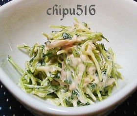 超簡単お弁当子供が喜ぶ豆苗とツナのサラダ