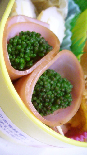 お弁当の隙間に☆ハム巻きブロッコリー✿