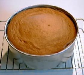 【HoneysOven】スポンジケーキ丸