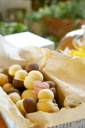 バーチディダーマ