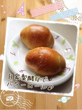 自家製酵母でバターロール♪