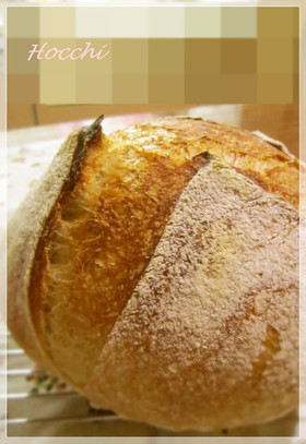 近頃の簡単жカンパーニュж