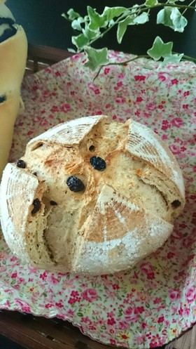 全粒粉で手捏ね田舎パン☆カンパーニュ★