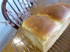 ダブルコーン食パン