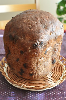 ☆HB：チョコくるみフランス