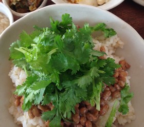 パクチー納豆丼❤️マクロビご飯