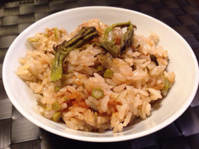 春の香りの王様、たらの芽ご飯