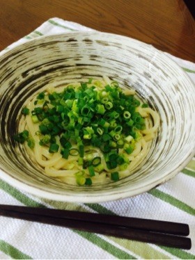 シンプル旨い！ネギうどん