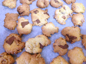 サラダ油でチョコチップクッキー