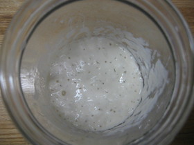 はじめてさんへ～ヨーグルト酵母元種