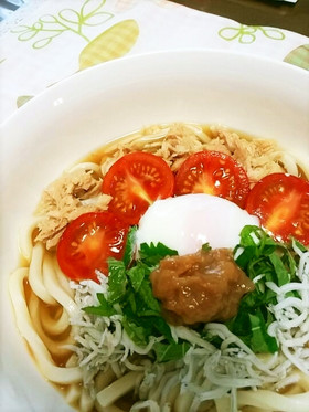 さっぱりと梅の冷やしぶっかけうどん♪