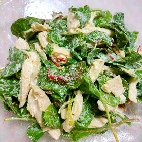 鶏むね肉とベビーリーフの洋風サラダ