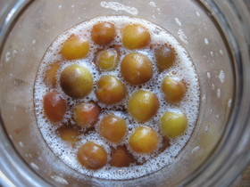 芳醇な香り～梅酵母～