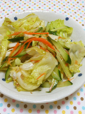 絶品ドレッシング♡チョレギサラダ♡