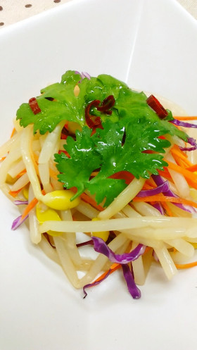 タイ風もやしサラダ