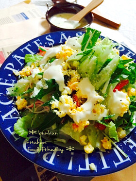 簡単すぐ出来ちゃう♪白菜と水菜のサラダ♡