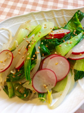 チンゲンサイ中華風サラダ