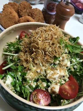 カリカリじゃこがけさっぱり豆腐サラダ