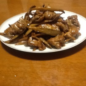 鶏とごぼうのピリ辛炒め煮