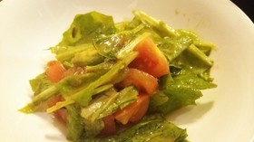 サラダ菜とトマトとアボガドのサラダ