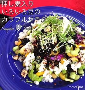 押し麦入り☆いろいろ豆のカラフルサラダ