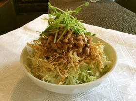 切り干し大根戻さず使おう！食物繊維サラダ