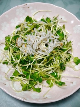 簡単！カイワレしらすのガーリックサラダ