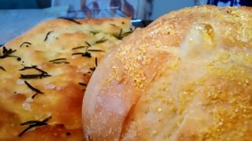 基本のイタリアパン生地　ビール酵母使用