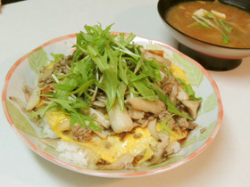 給料日前のサッと丼