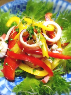 いかとパプリカのカラフルサラダ