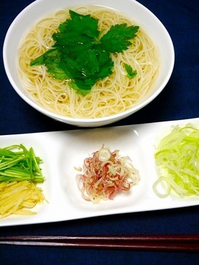 からだにやさしい！ベジにゅうめん