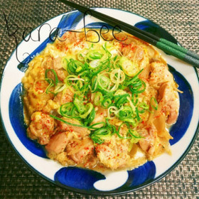 ご飯にかけたい♡鶏ごぼうの絶品親子煮