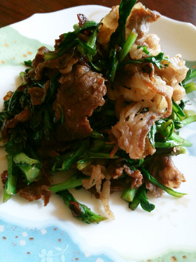 牛肉と春菊の炒め煮