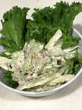 セロリとシーチキンのサラダ