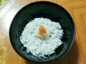 釜揚げシラス丼