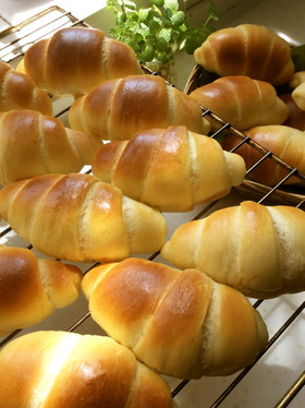 本気のバターロール