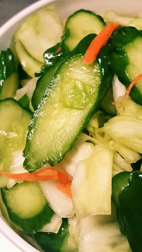 簡単自家製きゅうりキャベツにんじん浅漬け