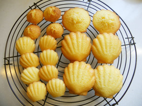 普通のマドレーヌ♬